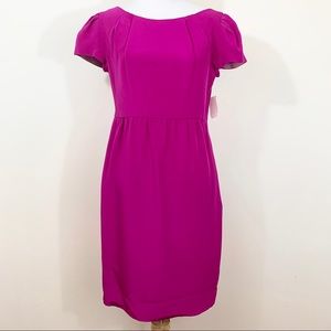 NWT Abaete Pink Silk Dress